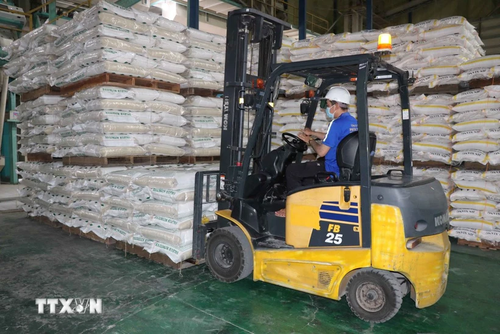 Vietnam sigue siendo el mayor exportador de arroz para Filipinas   - ảnh 1