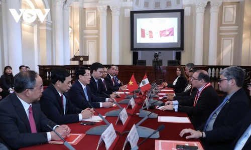 Presidente de Vietnam dialoga con titular del Poder Judicial del Perú - ảnh 1