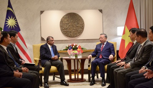 Líder político de Vietnam sostiene reuniones separadas con líderes de grupos malasios - ảnh 1