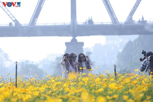 Miles de flores florecen bajo el emblemático puente Long Bien - ảnh 9