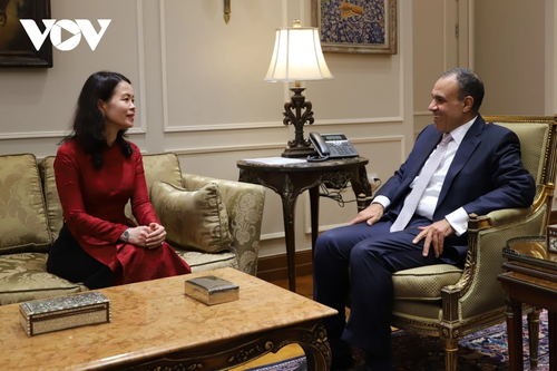 Refuerzan cooperación integral entre Vietnam y Egipto - ảnh 1