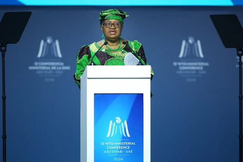 Ngozi Okonjo-Iweala reeligida Directora General de la OMC - ảnh 1