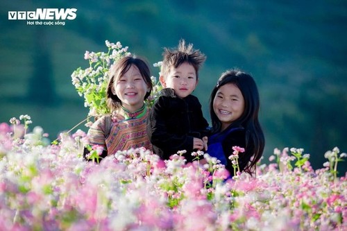 Ha Giang en la temporada de floración del trigo sarraceno - ảnh 6