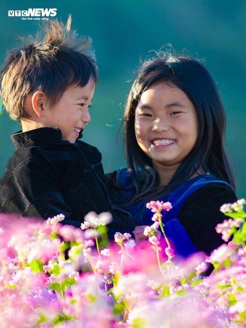 Ha Giang en la temporada de floración del trigo sarraceno - ảnh 8