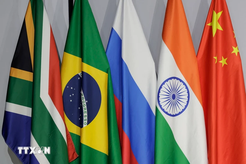 Moscú anuncia que 9 países se convertirán en socios de BRICS en 2025 - ảnh 1