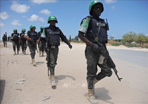 Consejo de Seguridad de la ONU aprueba una nueva misión de paz en Somalia  - ảnh 1