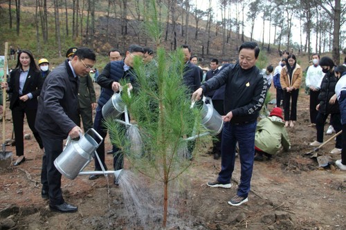 Viceprimer ministro de Vietnam asiste a Festival de Plantación de Árboles en Quang Ninh - ảnh 1