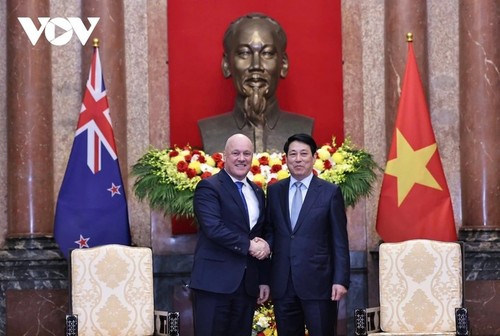 Vietnam y Nueva Zelanda fomentan relaciones más profundas y amplias - ảnh 1