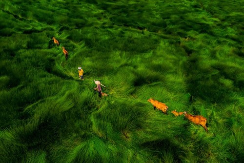 Khanh Phan, la fotógrafa que hace brillar a Vietnam a nivel internacional - ảnh 4