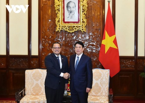 Vietnam atesora relaciones con República Dominicana, afirma Presidente - ảnh 1