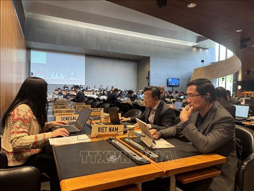 Vietnam asiste a la sesión de la OMC sobre la eliminación de obstáculos técnicos al comercio - ảnh 1