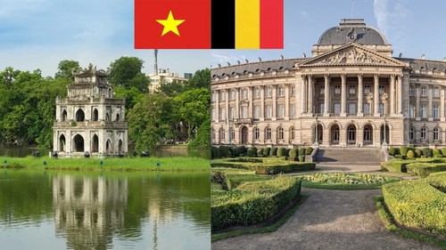 Vietnam y Bélgica: Hacia una nueva fase de desarrollo en sus Relaciones Bilaterales  - ảnh 1