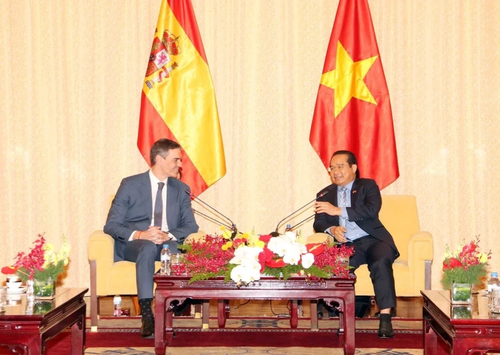 Más oportunidades de cooperación entre Ciudad Ho Chi Minh y España - ảnh 1