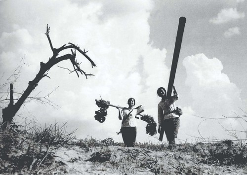 Oleoducto de Truong Son, legendaria vena en el camino hacia la reunificación de Vietnam - ảnh 2