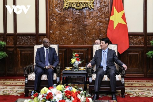 Presidente de Vietnam recibe a embajadores de diferentes países - ảnh 4