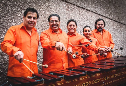 Descubran México a través de la música tradicional - ảnh 1