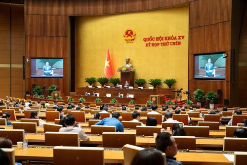 Legisladores vietnamitas debaten sobre proyectos de leyes importantes - ảnh 1