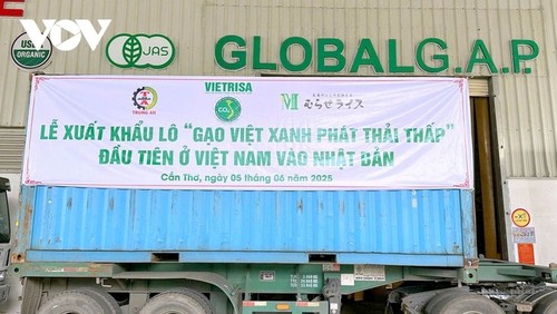 Vietnam exporta arroz con bajas emisiones a Japón - ảnh 1