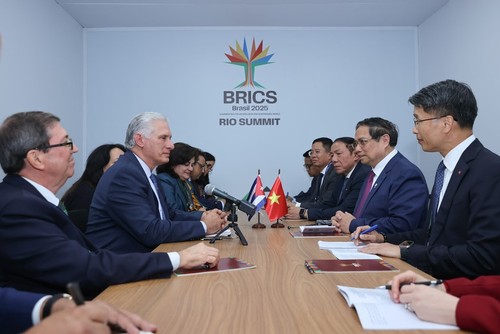 Vietnam y Cuba refuerzan implementación de acuerdos de cooperación - ảnh 1