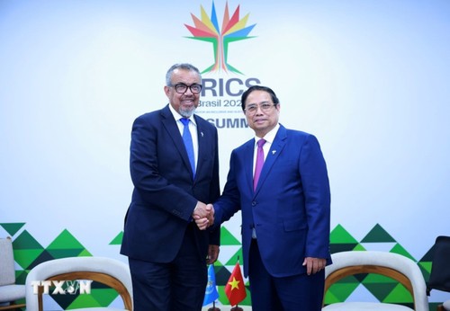 Vietnam y la OMS refuerzan cooperación en favor de la salud global - ảnh 1