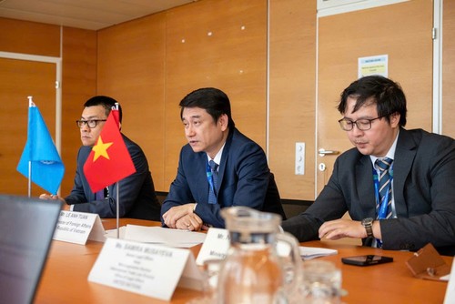 Vietnam impulsa su cooperación con agencias de la ONU - ảnh 1