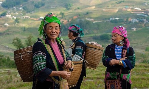 Cita de Correspondencia del 26 de julio de 2025 - ảnh 3