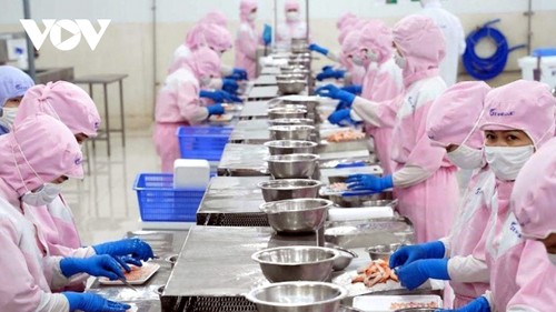 Surte efecto el EVFTA tras 5 años de su implementación  - ảnh 1