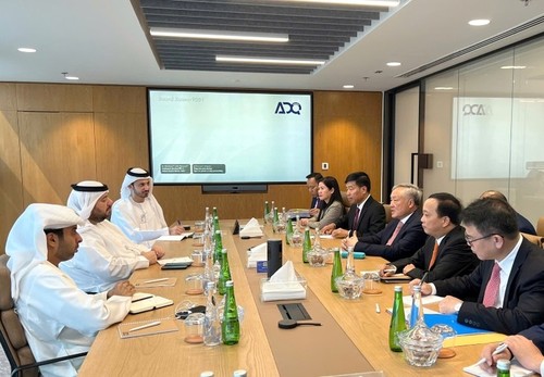 Vietnam y Emiratos Árabes Unidos fortalecen la conectividad empresarial - ảnh 2