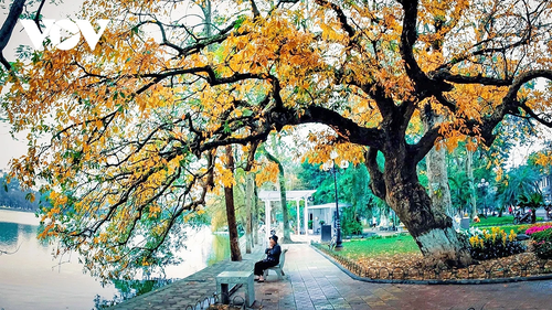 Hanói entre los destinos otoñales más bellos de Asia - ảnh 1