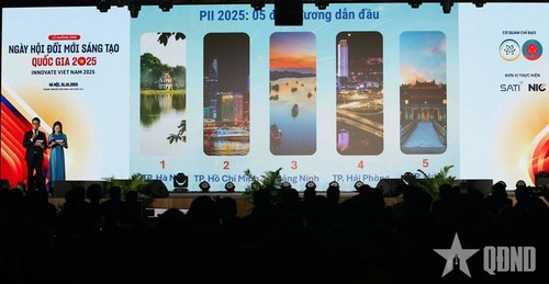Comunidad internacional valora el Índice de Innovación Local de Vietnam - ảnh 1