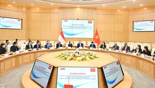 Vietnam y Singapur refuerzan su cooperación en energía, comercio e innovación - ảnh 1