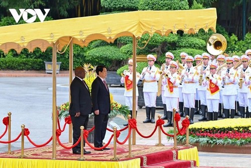 Presidente de Sudáfrica inicia visita oficial a Vietnam - ảnh 1