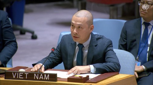 Vietnam aboga por una solución de paz duradera en Gaza - ảnh 1