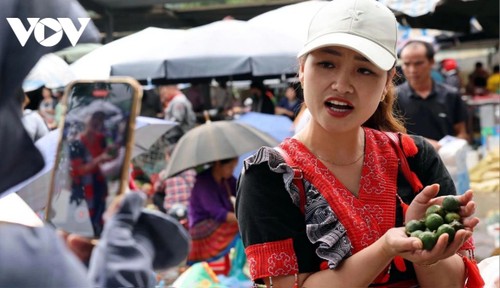 Inicia el Festival de Productos de las Minorías Étnicas del Norte de Vietnam - ảnh 1