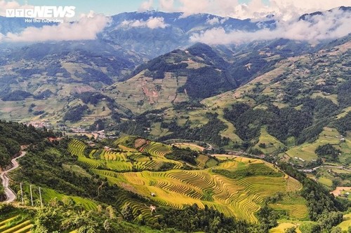 Temporada de arroz maduro en la aldea de Hang Dang De, en Lao Cai - ảnh 1