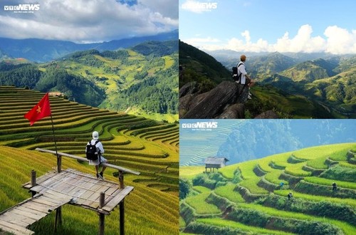 Temporada de arroz maduro en la aldea de Hang Dang De, en Lao Cai - ảnh 6