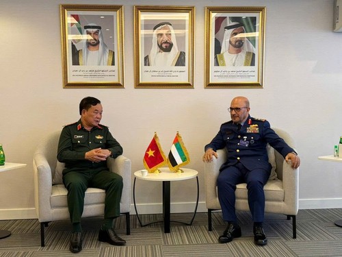 Vietnam y EAU refuerzan la cooperación en defensa - ảnh 1