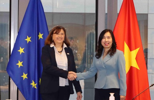 Vietnam y Unión Europea fortalecen lazos - ảnh 1