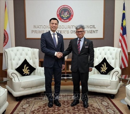 Vietnam y Malasia impulsan la cooperación para combatir la pesca INDNR - ảnh 1