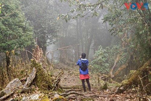 Ta Xua entre los mejores destinos turísticos fuera de la red del mundo para 2026 - ảnh 10