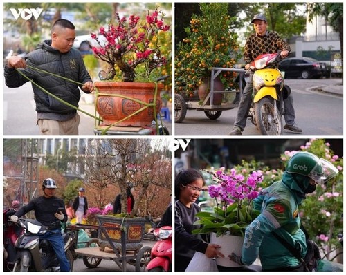 El ambiente festivo del Tet impera en Vietnam - ảnh 8
