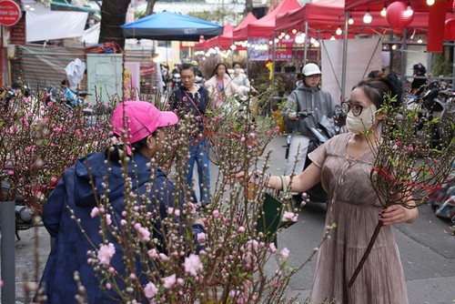 Inauguran la Calle de las Flores de Primavera de Tuy Hoa y el mercado floral del Tet 2026 - ảnh 1