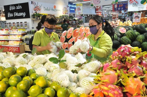 Exportaciones de frutas y hortalizas vietnamitas a la UE se triplicaron en cuatro años - ảnh 1