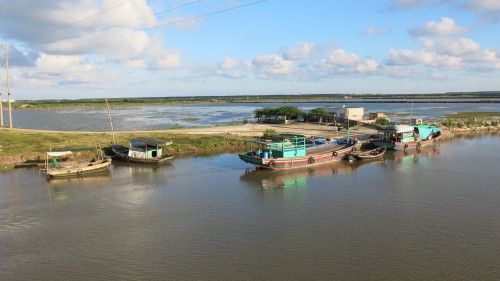 太平省新的原始风光地——围沙洲生态区 - ảnh 2