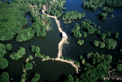 越南湿地约为1200万公顷 - ảnh 1