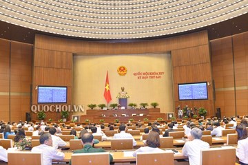 越南国会质询和回答质询会议继续举行 - ảnh 1