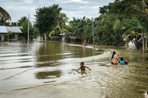 Le bilan de la tempête Tembin s'alourdit à 208 morts - ảnh 1