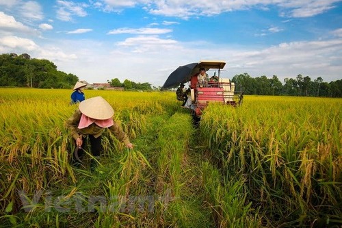  Economie verte pour le développement durable et l’adaptation au changement climatique - ảnh 1