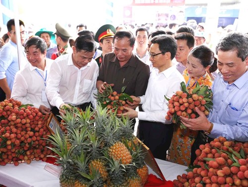 Ouverture de la fête des litchis de Thanh Hà 2018 - ảnh 1