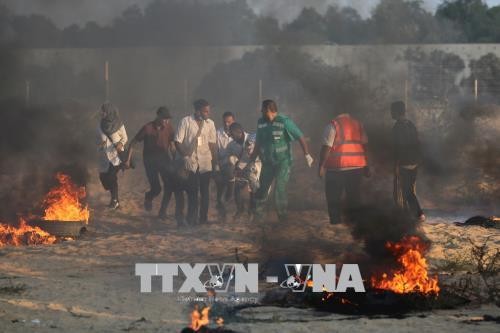 Gaza : deux Palestiniens tués par des tirs israéliens, - ảnh 1